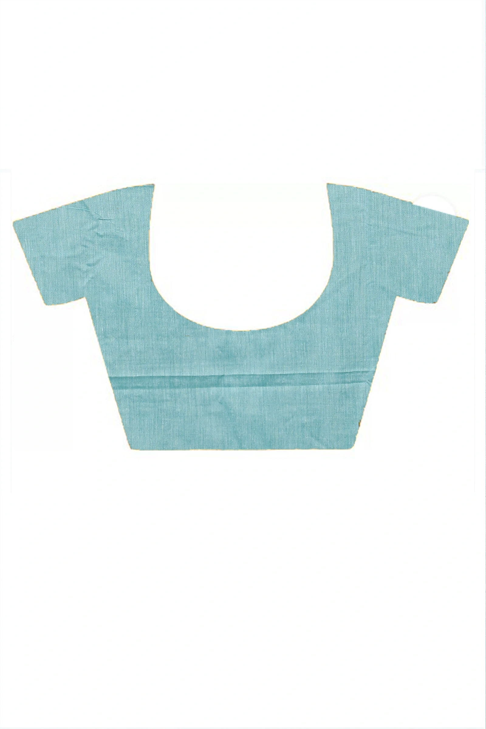 Sky Blue Pure Cotton Parama Embroidery Handloom saree (287)